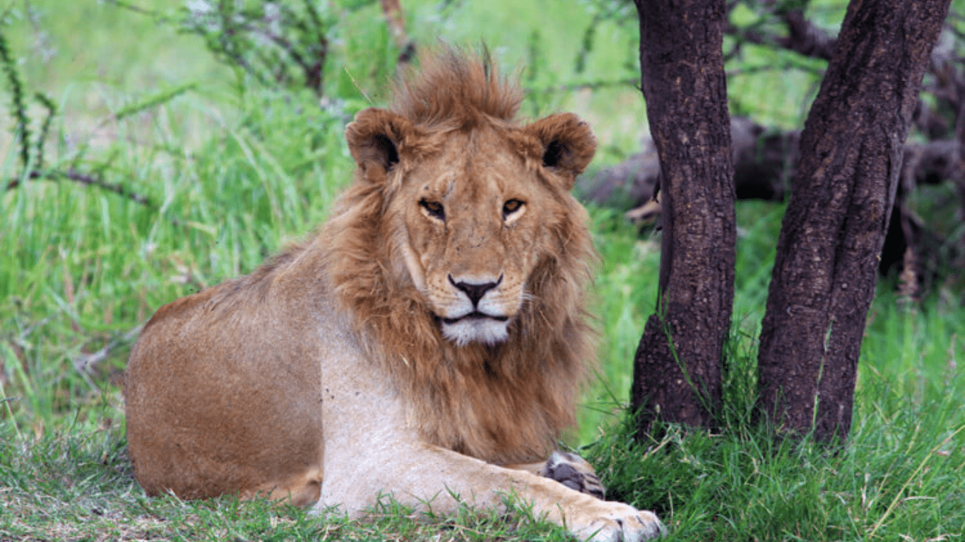 Van Vihar National Park