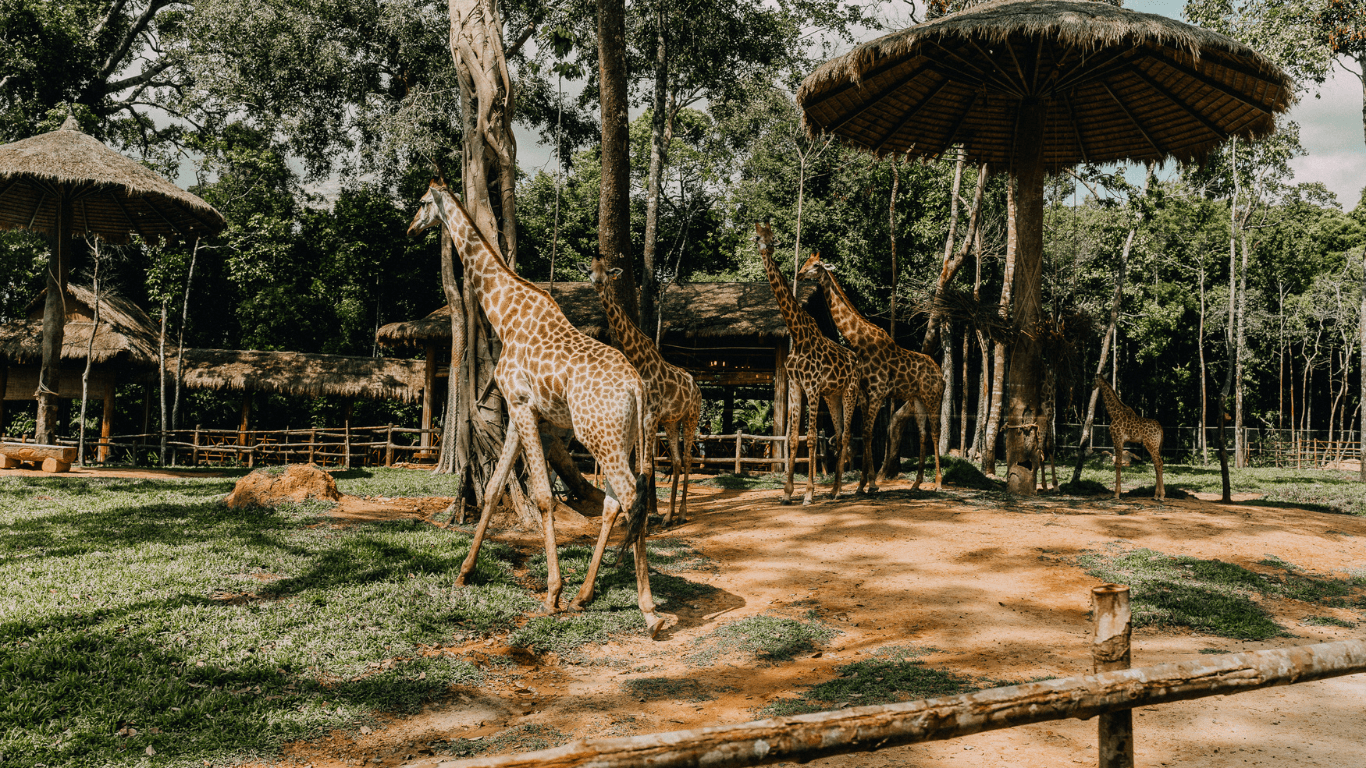 Benog Wildlife Sanctuary 